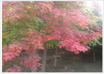 廣州匯超電子科技有限公司